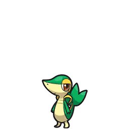Snivy