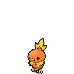 Torchic