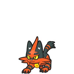 Torracat