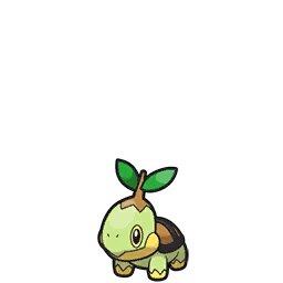 Turtwig