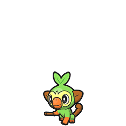 Clube Pokémon - Grookey (Tipo Grama) - Um Pokémon Chimp