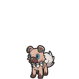 Rockruff  Pokédex