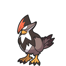 Staraptor  Flying type pokemon, Pokémon diamond, Pokemon pokedex