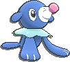 Popplio