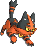 Torracat