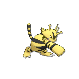 Electabuzz Evolution Chart