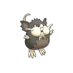 raticate-alolan.png