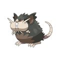 Alolan Raticate