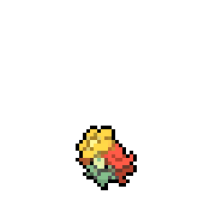 Gossifleur
