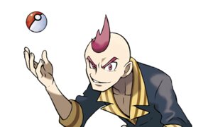 Pokémon Omega Ruby & Alpha Sapphire - Elite Four