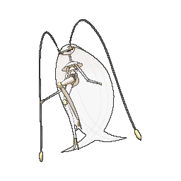 Pheromosa (Pokémon) - Bulbapedia, the community-driven Pokémon encyclopedia