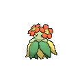 Bellossom  sprite from X & Y