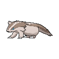 Linoone  sprite from X & Y