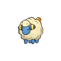 Cleome Spinosa Mareep