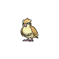 pidgey.png