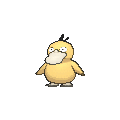 Psyduck, PokéPédia