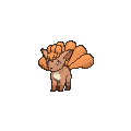 Retour sur Parmanie Vulpix