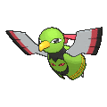 xatu-f.png