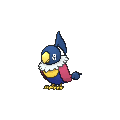 Chatot Shiny sprite from X & Y