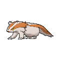 Linoone Shiny sprite from X & Y