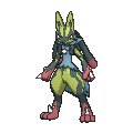 Lucario