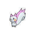 Pachirisu