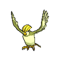 Pidgeotto Shiny sprite from X & Y