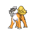 Pokemon 2243 Shiny Raikou Pokedex: Evolution, Moves, Location, Stats