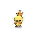 Torchic Shiny sprite from X & Y